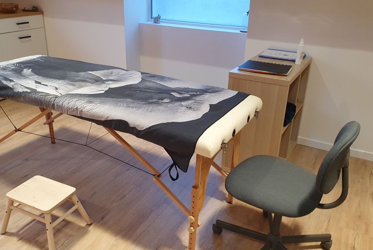 Réflexologie Cranio-Sacrée Isère 38 Rives